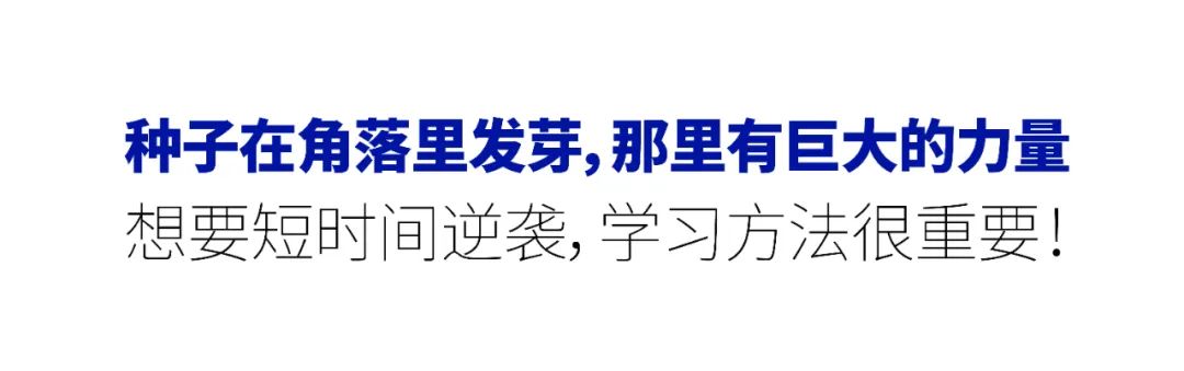 ed_1660550250487338.jpg 8.jpg